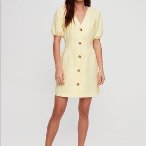 Aritzia Caprice Dress